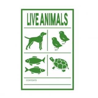 Etiqueta de manuseamento: Live Animals Etiqueta de manuseamento: Live Animals